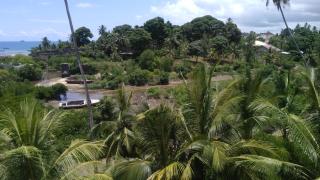 Bamboo House BnB - Bondeni - 8