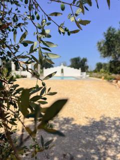 Masseria Cortese - Latiano - 3
