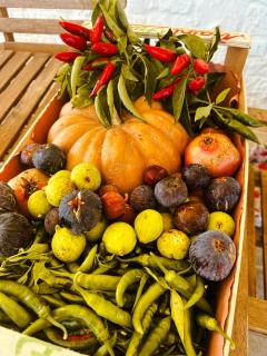 Masseria Cortese - 2