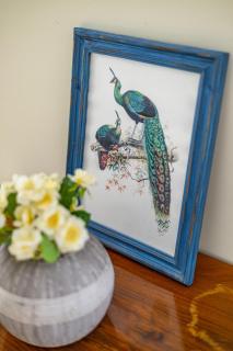 Graceful & Cozy Dream Home next to the Opera House - 1