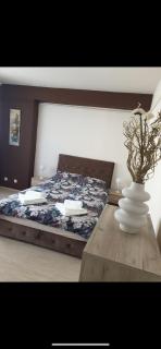 Apartman Ivan - Vršac - 0