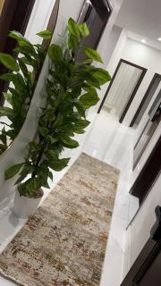 البشائر - Dschidda - 4