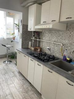 Apartament Dodo - Cluj-Napoca - 4
