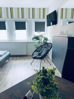 Hotel Stadt Boizenburg - Boizenburg - 5
