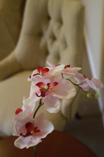 Hotel Intersur Recoleta - 3