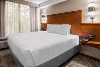 Hyatt Place Atlanta Duluth Johns Creek - Johns Creek - 8