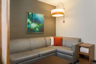 Hyatt Place Austin Cedar Park - Cedar Park - 7