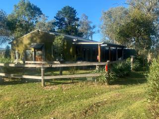 Little House in the Nursery grounded and welcoming - Wallabadah - 7
