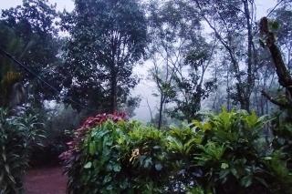 Verdant Hillock - 5