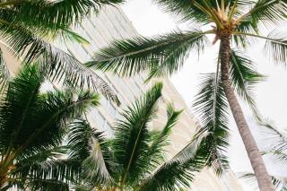 Hilton Vacation Club The Modern Honolulu - 4