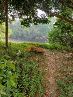 River Valley service villa - Mananthavady - 9
