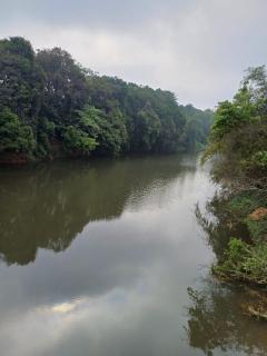 River Valley service villa - Mananthavady - 8