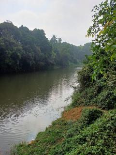 River Valley service villa - Mananthavady - 3