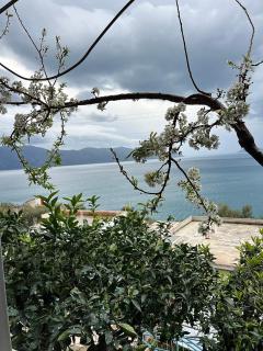 My House - Vlorë - 1