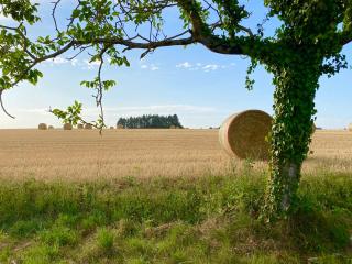 Chateau des Fouilloux - Guest House - Agris - 2