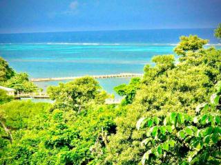 Casa Café Roatan, Honduras - 5