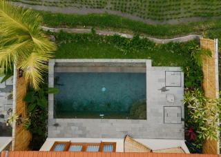 Uma Rimbun Pool Villa by Uniquecations - Ubud - 9