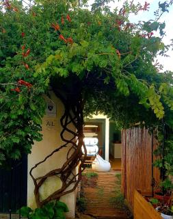 Conde Surf Camp - junto ao mar - entire pvt house - Vila do Conde - 0