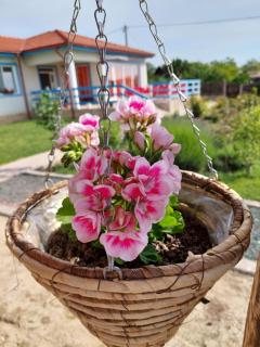Casa de la Baltă - Vişina - 9