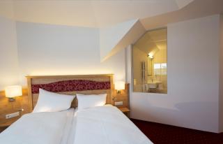 Donauhotel Lettnerhof - Au an der Donau - 7