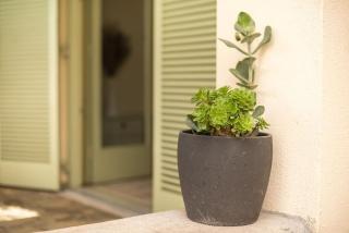 Διαμέρισμα με πισίνα στην Αρτέμιδα - 3