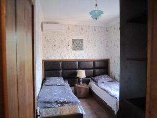 Villa in Tbilisi - Tbilisi - 2