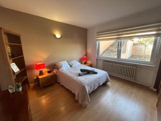 Superbe appartement avec belle terrasse - Bischheim - 4