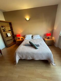 Superbe appartement avec belle terrasse - Bischheim - 3
