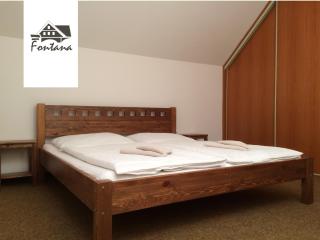 Pension Fontana - Špindlerův Mlýn - 8