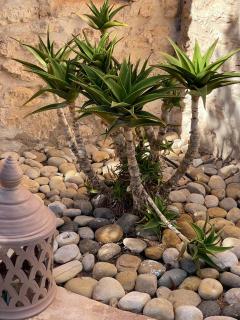 Dar Volubilis spacieuse villa avec piscine, 5 chambres vue sur forêt - 3
