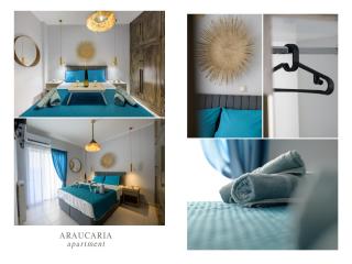 Araucaria Queen - Kanali - 3