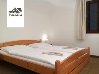 Pension Fontana - Špindlerův Mlýn - 2
