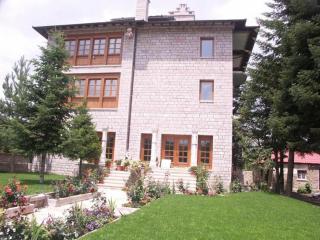 Hotel Bacelli Voskopoje - Voskopoja - 0