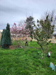 Maison de vacances - 9