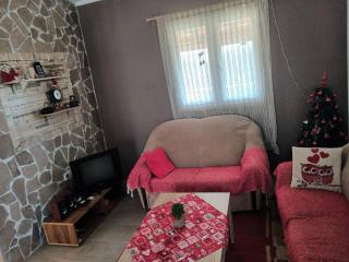 Bandici house - Podgorica - 6