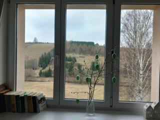 Apartmán u Kunštátského mlýna - Orlické Záhoří - 9