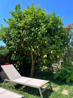 Maison Villa Angela - SantʼAgata sui Due Golfi - 2