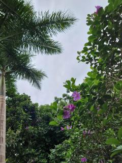 SHIMER HOMESTAY - 7