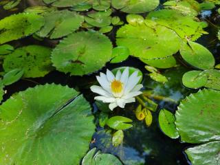 Shimer homes - Usa River - 4