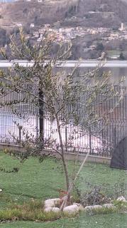 Mi'Ele Apartments - 4