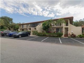 Sun Eagle Condo! Cozy condo with workspace and community pool! - Bradenton - 0