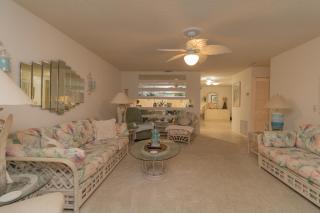 Sun Eagle Condo! Cozy condo with workspace and community pool! - Bradenton - 8