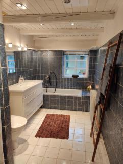 Charmerende stråtag strå hus (med Vildmarksbad) - 7