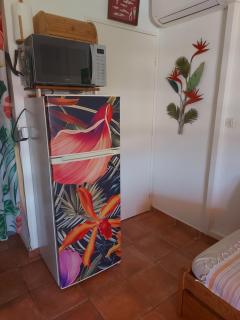 T2-CLIM-FIBRE-GARAGE 2,30 x 4,95 x 1,90 à LA FAVIERE - Bormes-les-Mimosas - 8