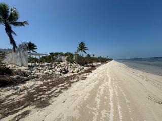 Casa Arsha Beachfront Paradise - 6