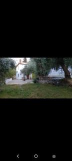 Finca AlAndalus - Órgiva - 6