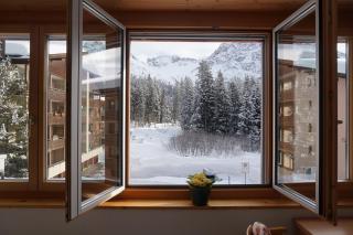 The Window to the Mountains - Arosa - 1