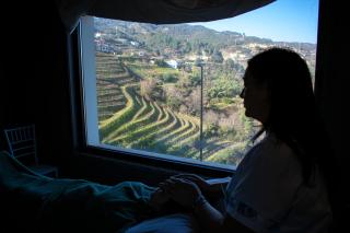 MW Douro Wine & Spa - 1