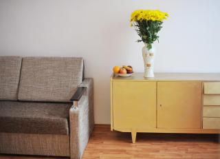 Centre Apartament on Dudaeva street - Lviv - 1