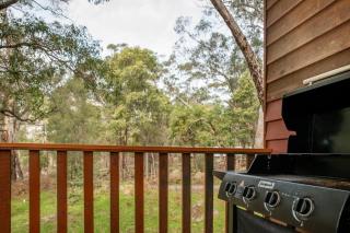Pinnacle Retreat - Halls Gap - 1
